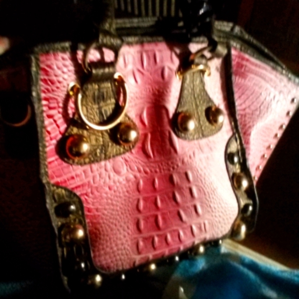 Pink crocodile purse